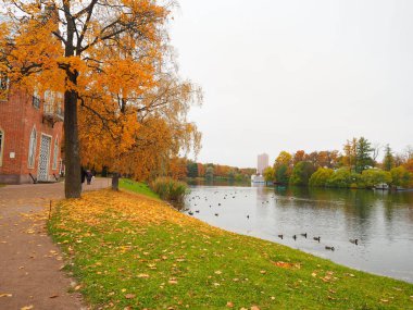 Güzel kış bahçesi Yapraklar renk değiştiriyor