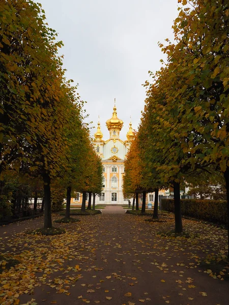 Прекрасний зимовий сад Листя змінює колір — стокове фото