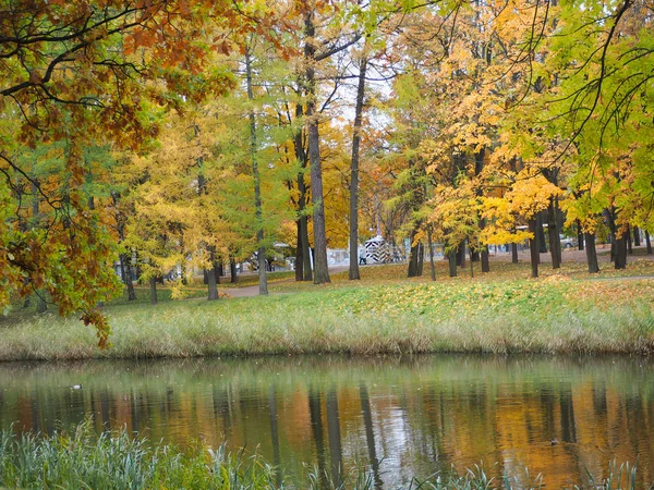 Beautiful winter garden The leaves are changing color — Stock Photo, Image