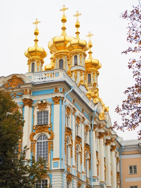俄罗斯圣彼得堡叶卡捷琳娜宫是一个公共图书馆 — 图库照片