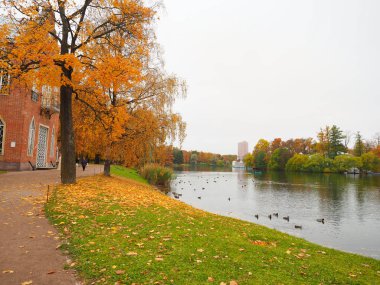 Güzel kış bahçesi Yapraklar renk değiştiriyor