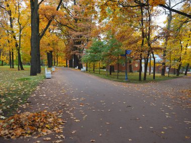 Güzel kış bahçesi Yapraklar renk değiştiriyor