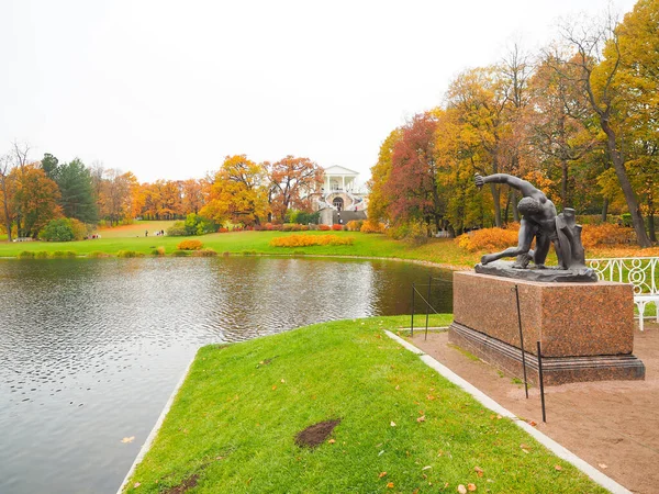 Schöner Wintergarten, die Blätter verfärben sich — Stockfoto