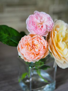 Bahçemdeki güzel güller sabah güneşinde açar..