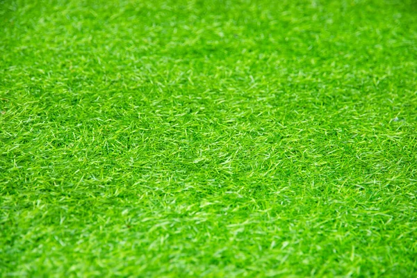 Erba Verde Texture Come Sfondo — Foto Stock