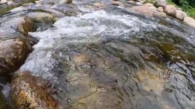 Sakin dağ suyu akıntısı, bir dağ nehrinin hareketi..