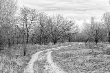 Yumuşak kış güneşinin altında ormana erişmek için bir yol