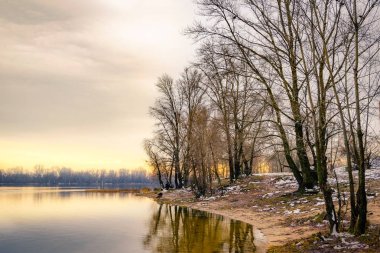 Görünümü bir soğuk ve açık kış öğleden sonra sırasında Kiev'de Dinyeper Nehri yakınında kavak ve söğüt ağaçları