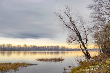 Görünümü bir soğuk ve açık kış öğleden sonra sırasında Kiev'de Dinyeper Nehri yakınında kavak ve söğüt ağaçları