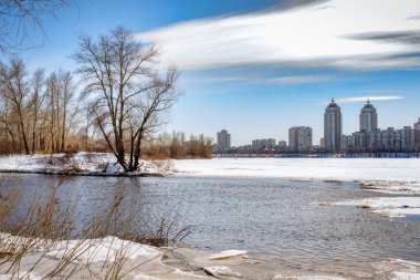 Görünümü Kiev Düriye nehre yakın kavak ve söğüt ağaçları