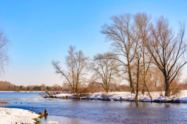Görünümü Dinyeper Nehri k yakın kavak ve söğüt ağaçları