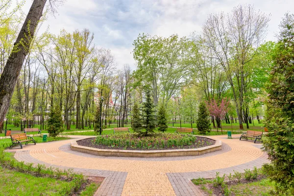 Blomsterrabatt Med Färgglada Blommor Mitten Ett Litet Torg Natalka Parken — Stockfoto