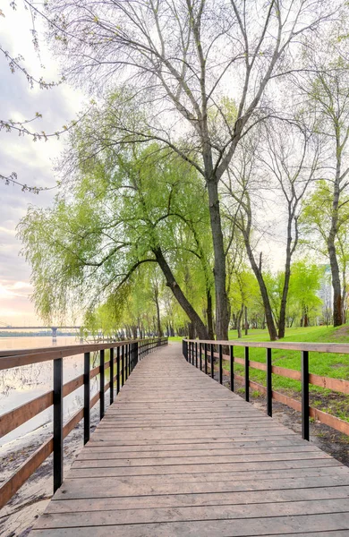 Voetgangersbrug Dicht Bij Rivier Dnjepr Het Park Van Natalka Kiev — Stockfoto