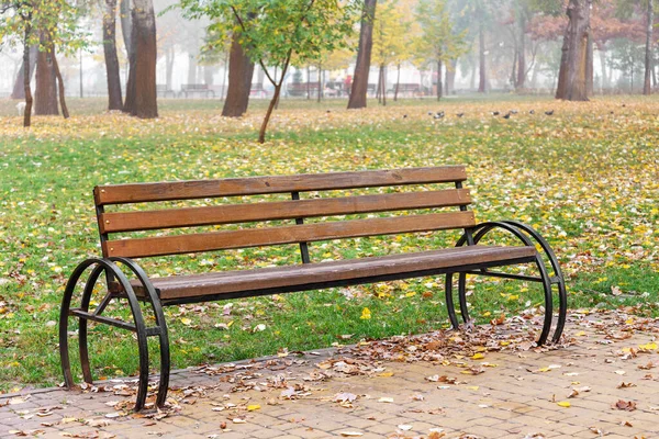 Ensam bänk i parken på hösten — Stockfoto