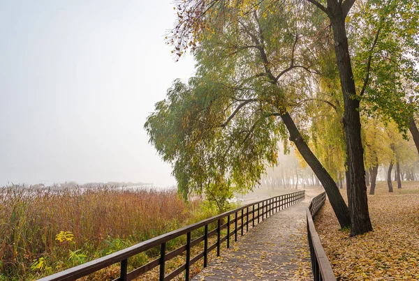 Passerelle dans le parc Natalka à Kiev — Photo