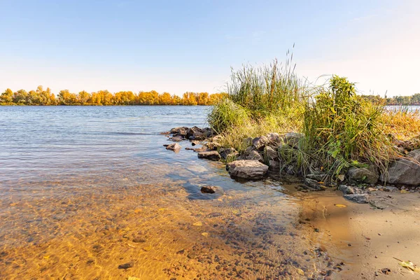 Vue Sur Les Saules Les Roseaux Près Fleuve Dniepr Kiev — Photo