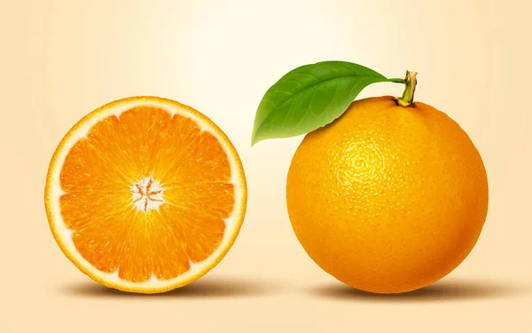 3D说明柑橘类水果 — 图库矢量图片