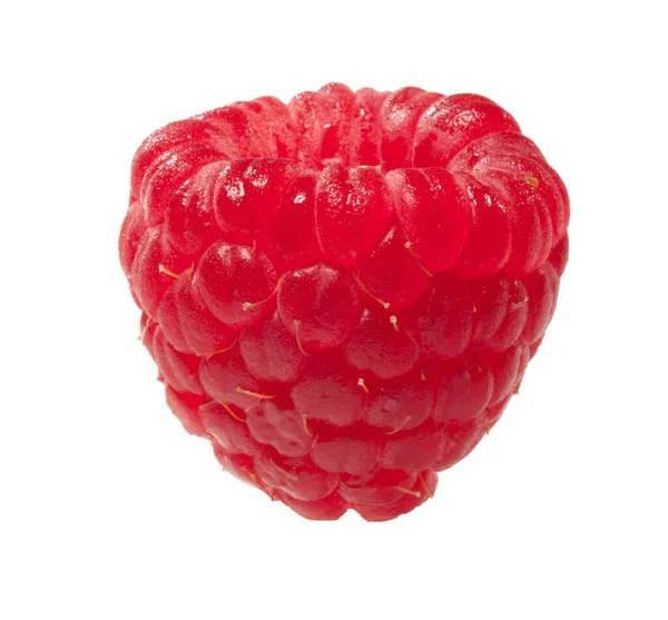 Himbeeren Isoliert Auf Weißem Hintergrund Nahaufnahme — Stockfoto