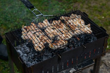 Izgara domuz eti barbeküsü, bir parça barbekü ve yeşil çimlerin üzerinde duman.