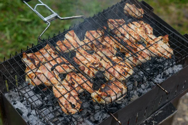 Ψητό Χοιρινό Κρέας Μπάρμπεκιου Κομμάτια Μπάρμπεκιου Και Καπνό Φόντο Πράσινο — Φωτογραφία Αρχείου