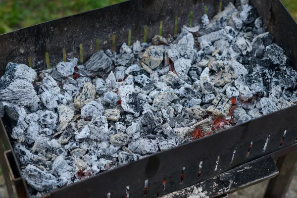 Charcoal Grill Ready Barbecue Background Green Grass — Stock Photo, Image