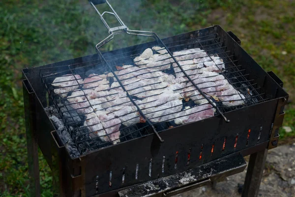 Grillat Fläsk Kött Grill Bitar Grill Och Rök Bakgrund Grönt — Stockfoto