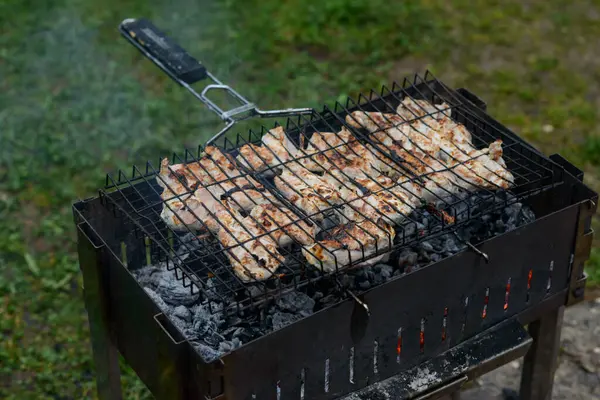 Grilled Varkensvlees Barbecue Stukken Barbecue Rook Een Achtergrond Van Groen — Stockfoto