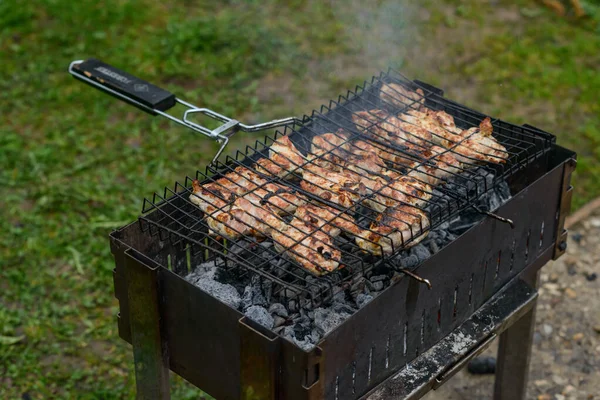 Grilled Pork Meat Barbecue Pieces Barbecue Smoke Background Green Grass — Stock Photo, Image