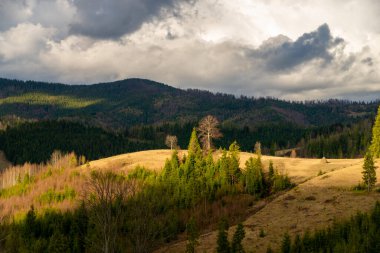 Karpatlar 'ın kasvetli manzarası