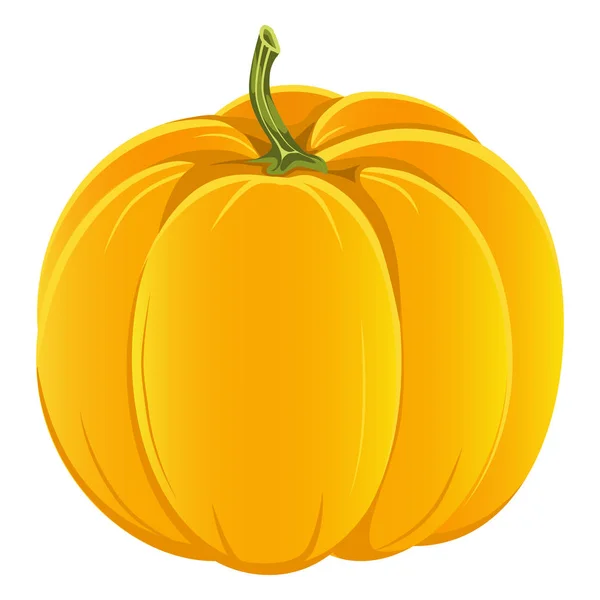 Vector Illustration Orange Pumpkin White Background Autumn Vegetable Icon Harvest — Stock Vector