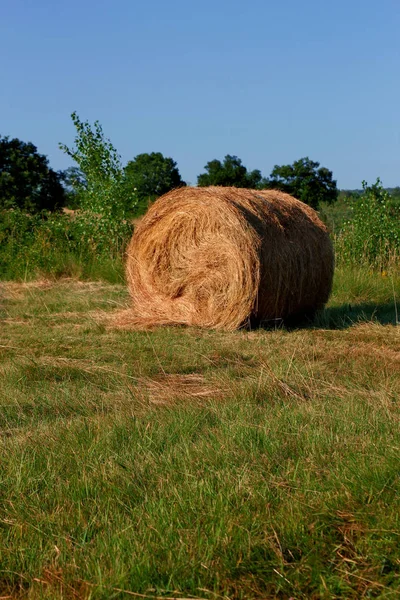 Ljusa landskapet — Stockfoto