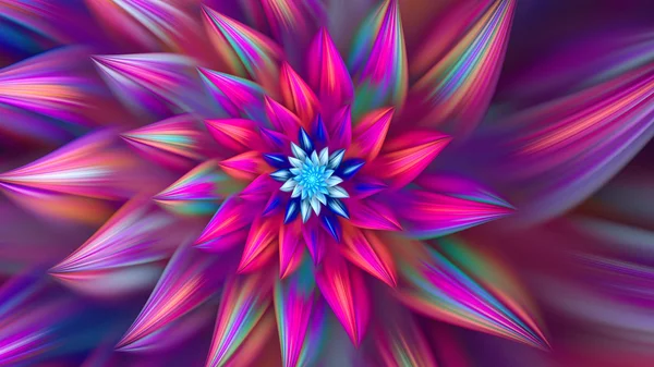 güzel egzotik bir çiçek.