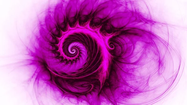 Space snail. Spiral Galaxy.