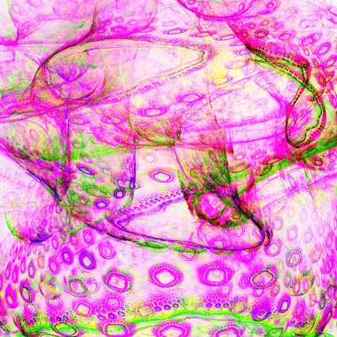 Biyolojik hayat. Mikroorganizmaların hücre.