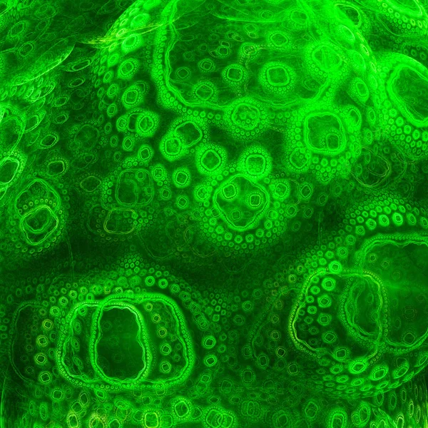 Βιολογική ζωή. Κύτταρα των μικροοργανισμών. — Φωτογραφία Αρχείου