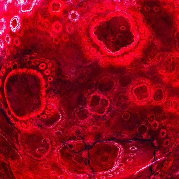 Biologiskt liv. Celler av mikroorganismer. — Stockfoto