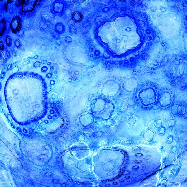Vida biológica. Células de microrganismos . — Fotografia de Stock