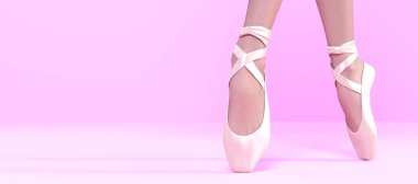 3D Ballerina legs in light classic pointe shoes.