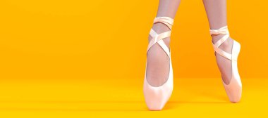 3D Ballerina legs in light classic pointe shoes.