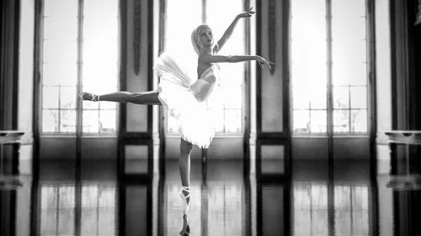 Ballerina Lumière Classique Blanc Pointe Chaussures Ballet Tutu Femme Dansante — Photo