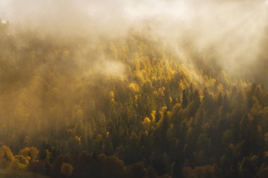 Kafkasların dağlarında sonbahar.