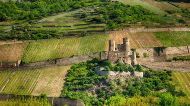 Ehrenfels Kalesi ve üzüm bağları