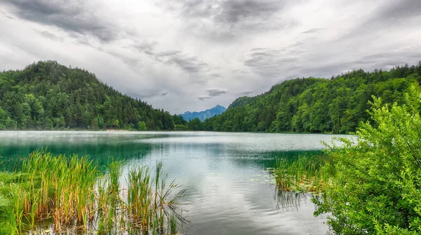 Alatsee lake in Bavaria — Stock Photo, Image