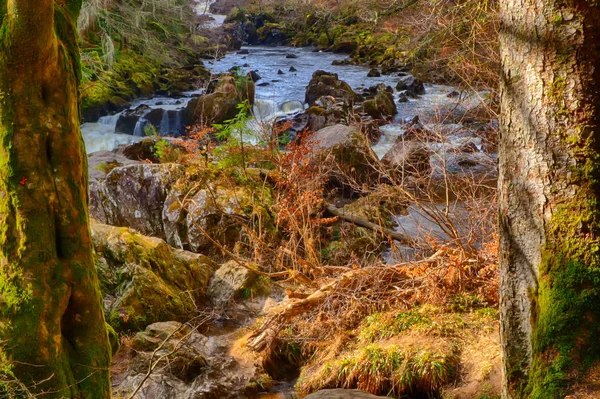 Das Naturschutzgebiet Der Einsiedelei Perthshire Schottland — Stockfoto