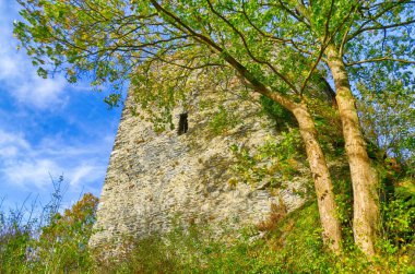 Eifel bölgesinde Monschau yakınlarında bir dağda ortaçağ şatosu harabesi.