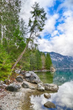 Bavyera Alplerinde Eibsee Gölü kıyısında ağaçlar ve kayalar
