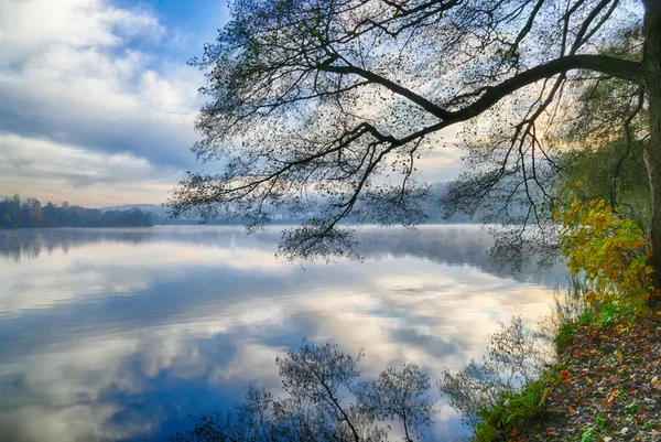 秋にドイツのBaldeneysee湖のほとりの木 — ストック写真