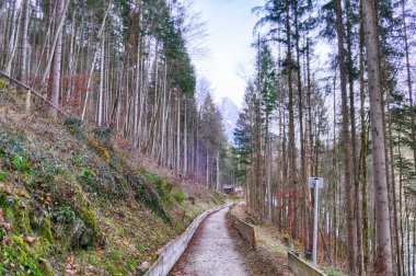 Bavyera Alpleri 'ndeki Riessersee Gölü' nde tarihi bobsled sahası