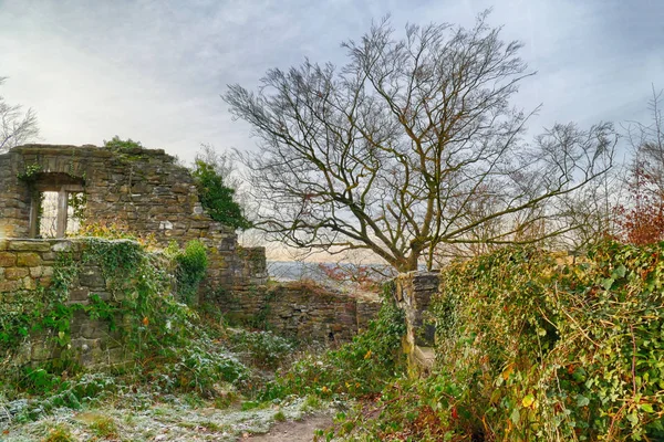 Ruina Del Castillo Medieval Ruta Senderismo Baldeneysteig Alemania Invierno — Foto de Stock