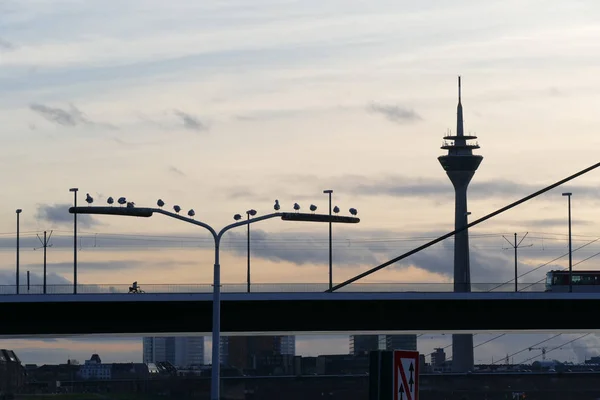Brücke Und Turm Düsseldorf Bei Sonnenuntergang — Stockfoto